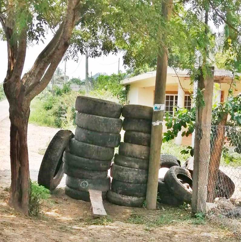 Recomiendan la prevención en colonias para evitar casos de dengue Recomiendan la prevención en colonias para evitar casos de dengue