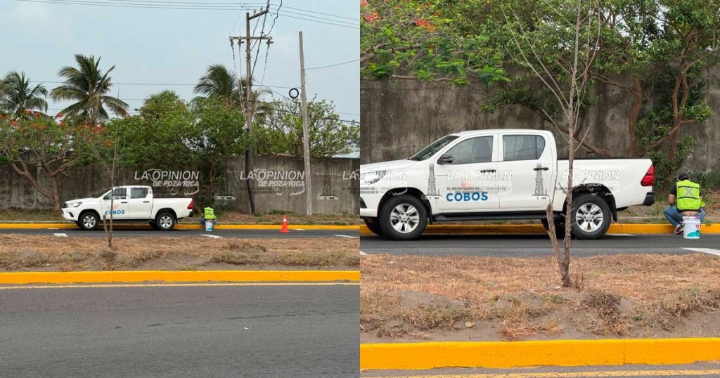 Presunto pago excesivo del Ayuntamiento de Alvarado: 9 mdp por pintado de guarniciones