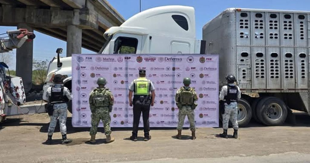 Aseguran 69 cabezas de ganado robadas