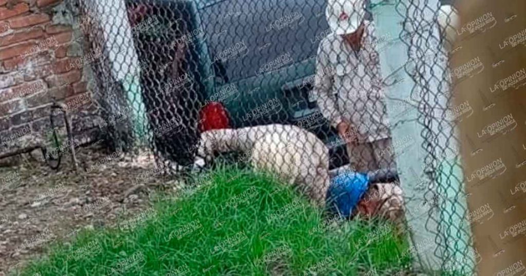 El colmo: con aserrín, PEMEX retira hidrocarburo regado en la colonia Laredo El colmo: con aserrín, PEMEX retira hidrocarburo regado en la colonia Laredo