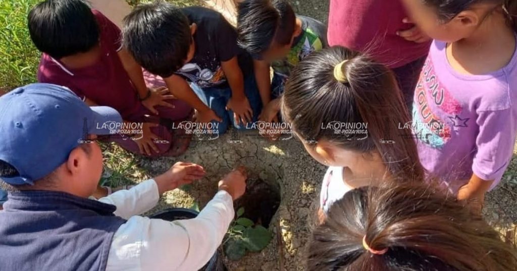 Impulsan acciones ecológicas con el Plan Integral de Reforestación