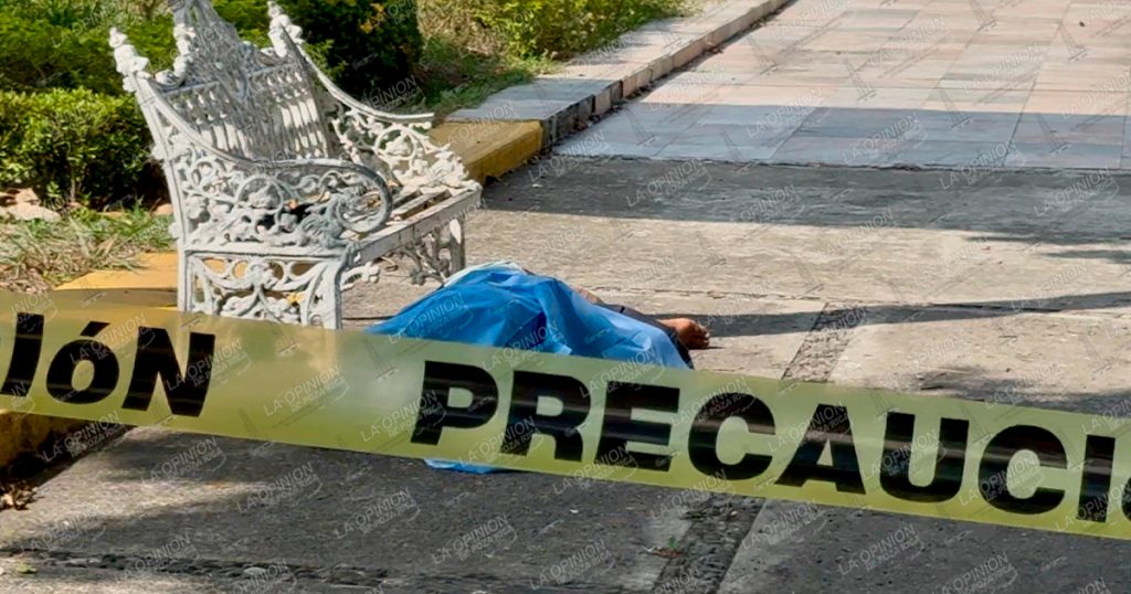 ¡Murió sobre el camellón! ¡Murió sobre el camellón!