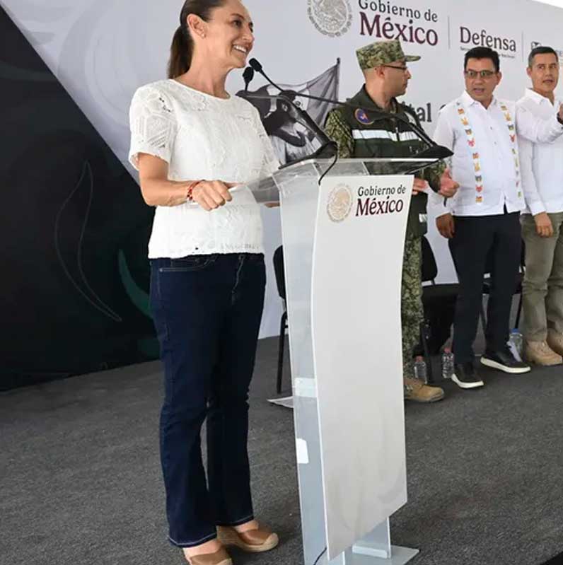 Mexicanos son ejemplo, pero en EU los maltratan