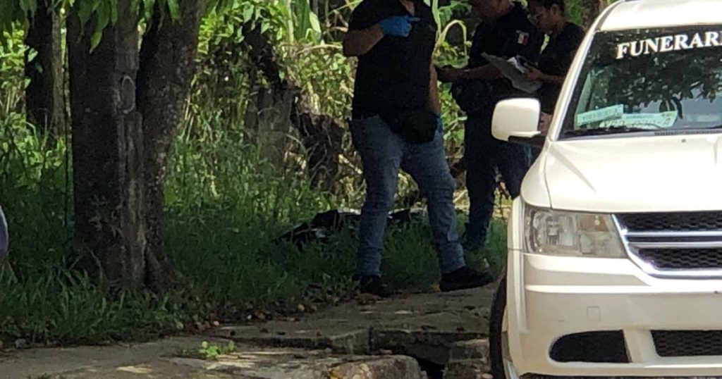 Otro embolsado Otro embolsado