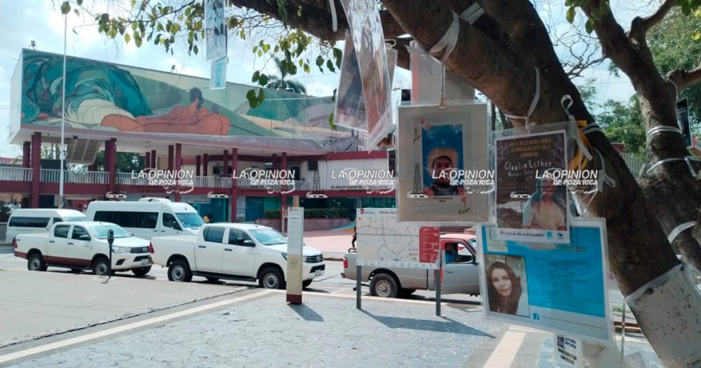 Laboratorio genético se construirá en Álamo: Maricel Torres Melo Laboratorio genético se construirá en Álamo: Maricel Torres Melo