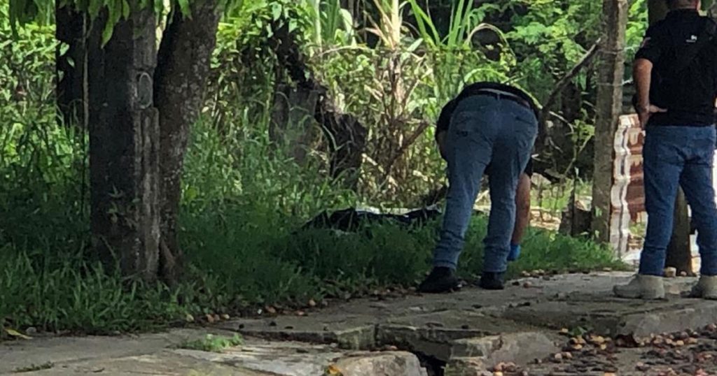 Otro embolsado Otro embolsado