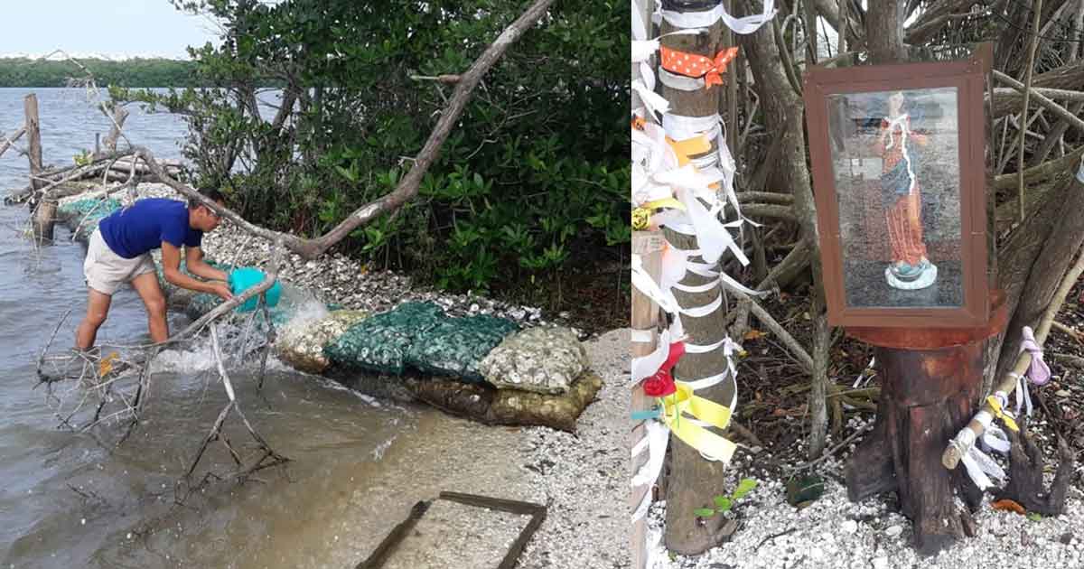 Mandinga romperá record con 28 mil piezas de ostión en un cóctel Mandinga romperá record con 28 mil piezas de ostión en un cóctel