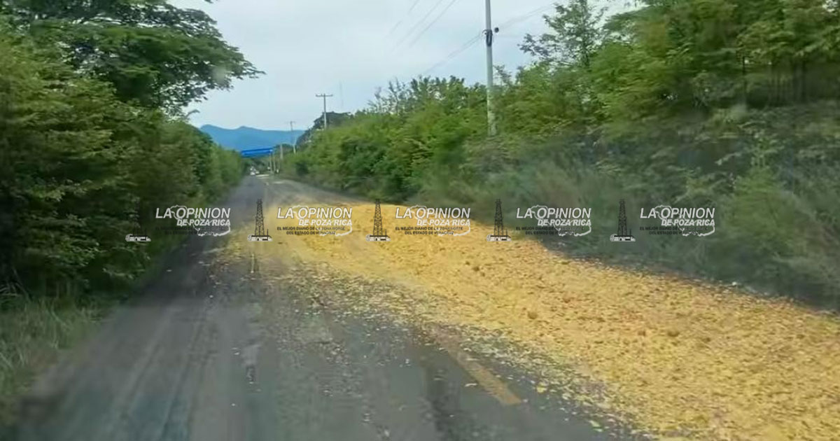 Peligro en carretera Tuxpan-Tampico Peligro en carretera Tuxpan-Tampico