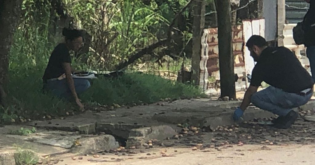 Otro embolsado Otro embolsado