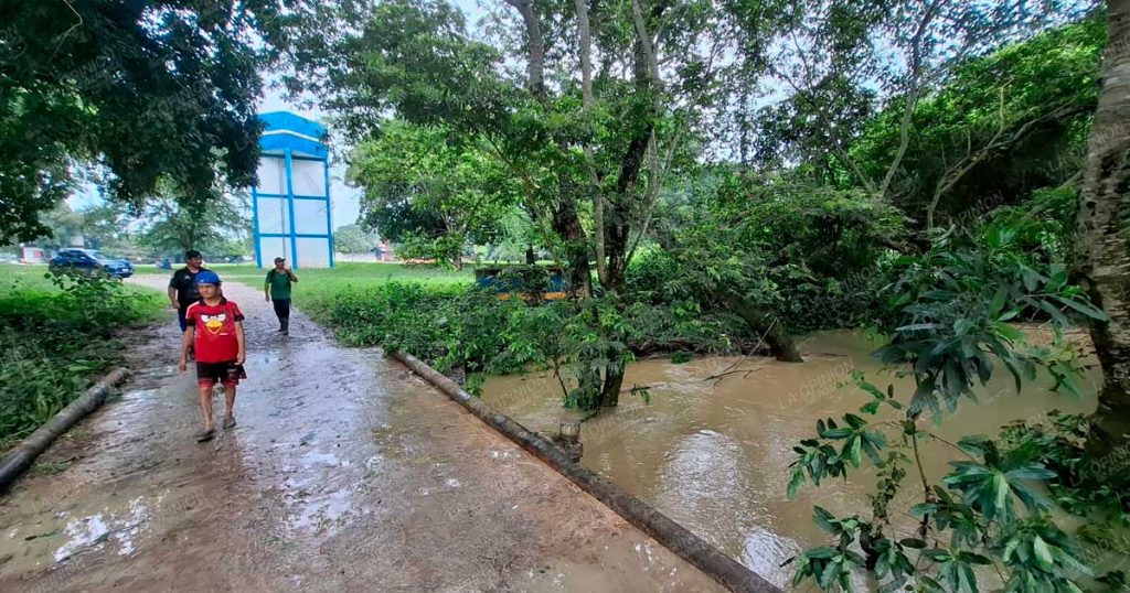 Zonas bajas, al borde de una inundación Zonas bajas, al borde de una inundación