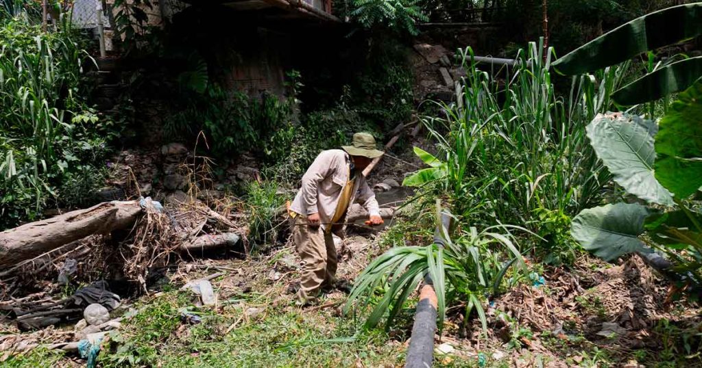 Previenen inundaciones y cuidan el medio ambiente Previenen inundaciones y cuidan el medio ambiente
