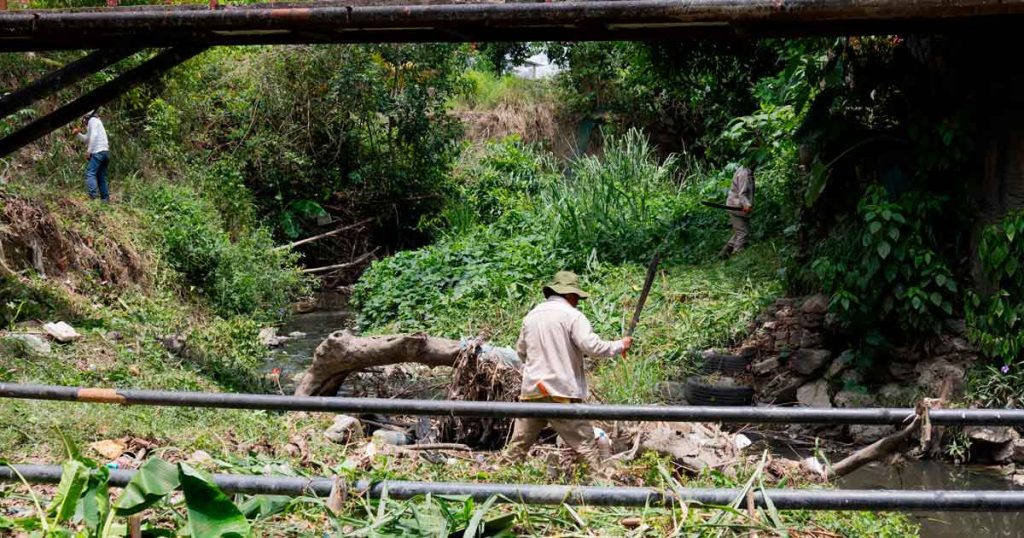 Previenen inundaciones y cuidan el medio ambiente