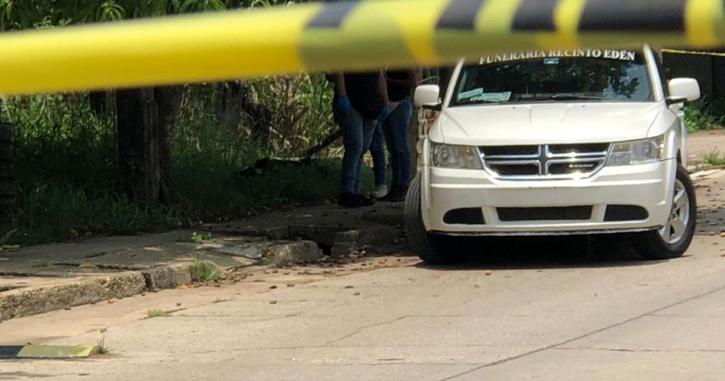 Otro embolsado Otro embolsado