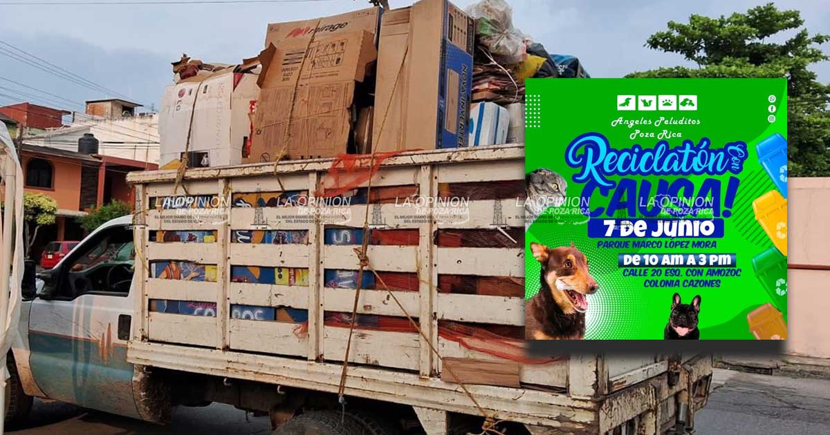 Viene Reciclatón con causa por las mascotas en situación vulnerable Viene Reciclatón con causa por las mascotas en situación vulnerable