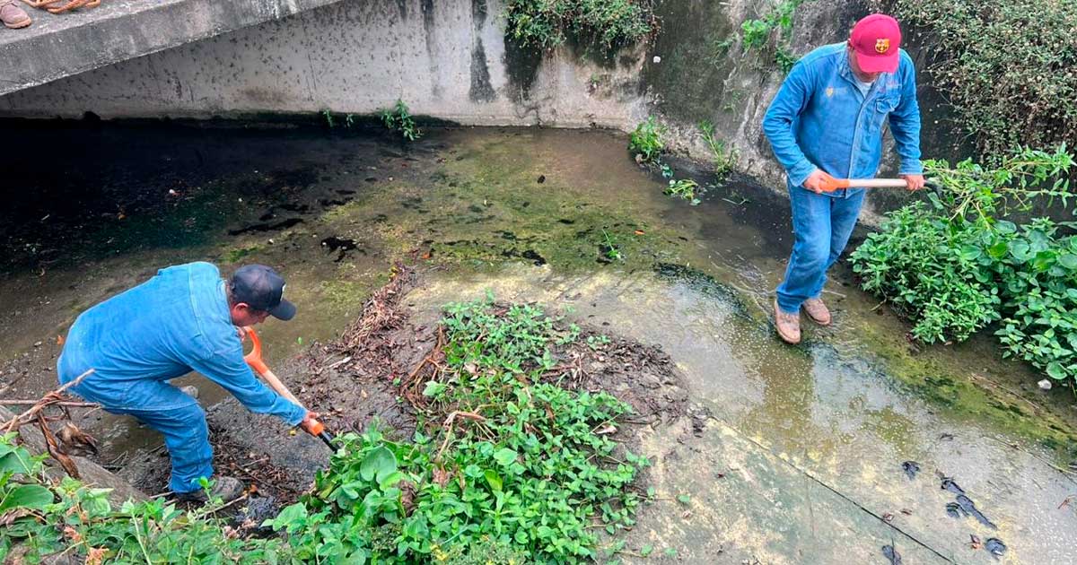 Trabaja CAEV en prevención de encharcamientos e inundaciones en Gutiérrez Zamora Trabaja CAEV en prevención de encharcamientos e inundaciones en Gutiérrez Zamora