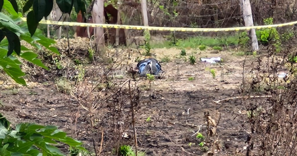 En una brecha fue hallado sin vida En una brecha fue hallado sin vida