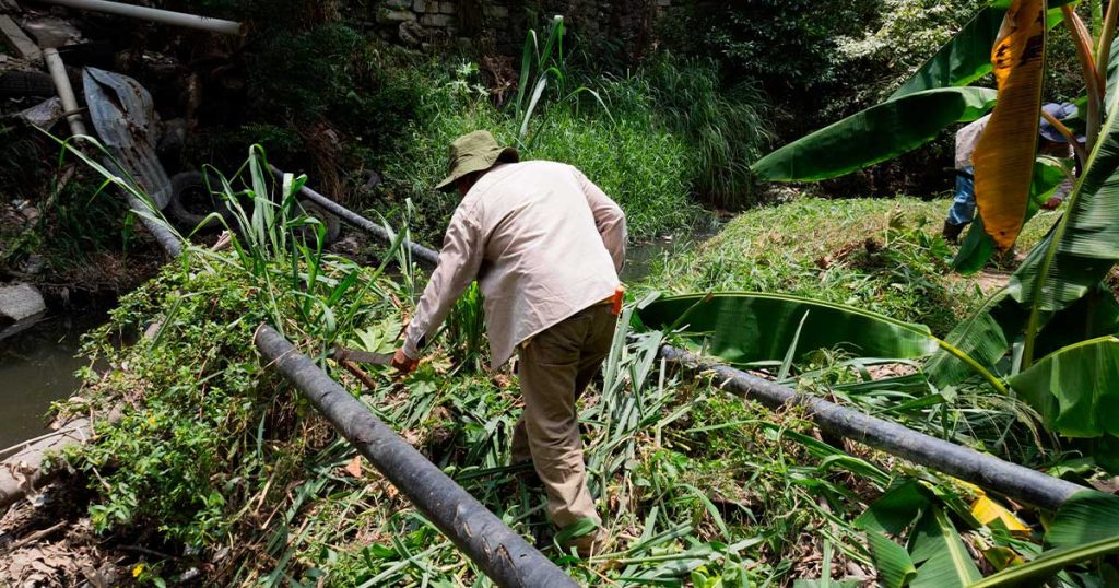 Previenen inundaciones y cuidan el medio ambiente