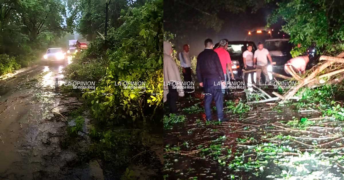 Deslaves y caída de árboles afectan la vía Alazán-Canoas