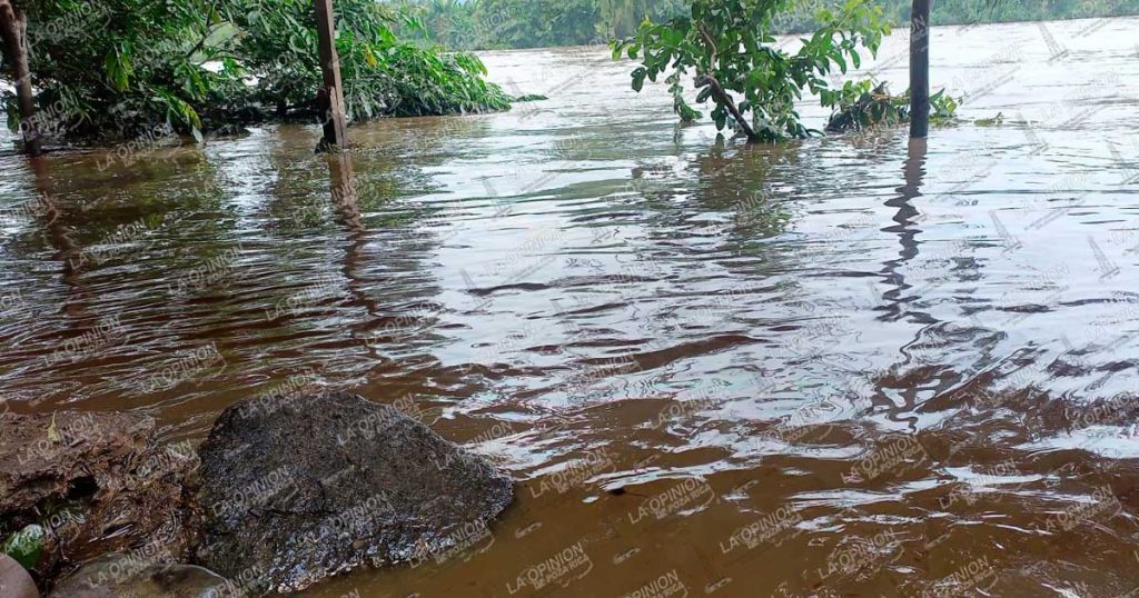 Comunidades de Coatzintla afectadas por hidrocarburo Comunidades de Coatzintla afectadas por hidrocarburo
