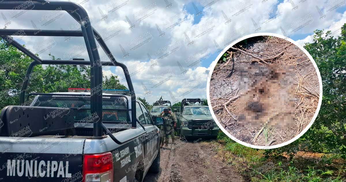 En un naranjal hallan cuerpo semienterrado En un naranjal hallan cuerpo semienterrado