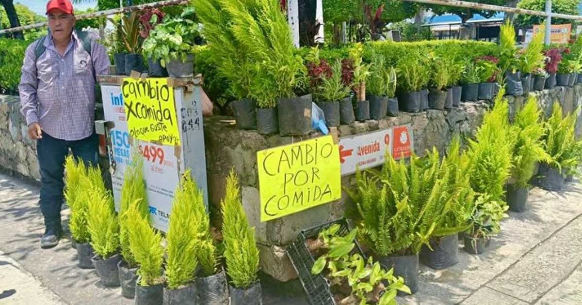 Floricultores cambian plantas por comida
