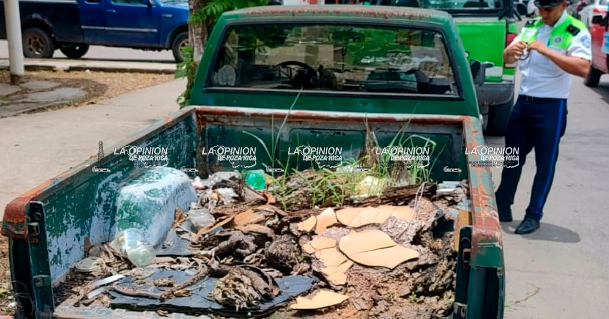 No más "autos maceta" sobre las vialidades de la ciudad No más "autos maceta" sobre las vialidades de la ciudad