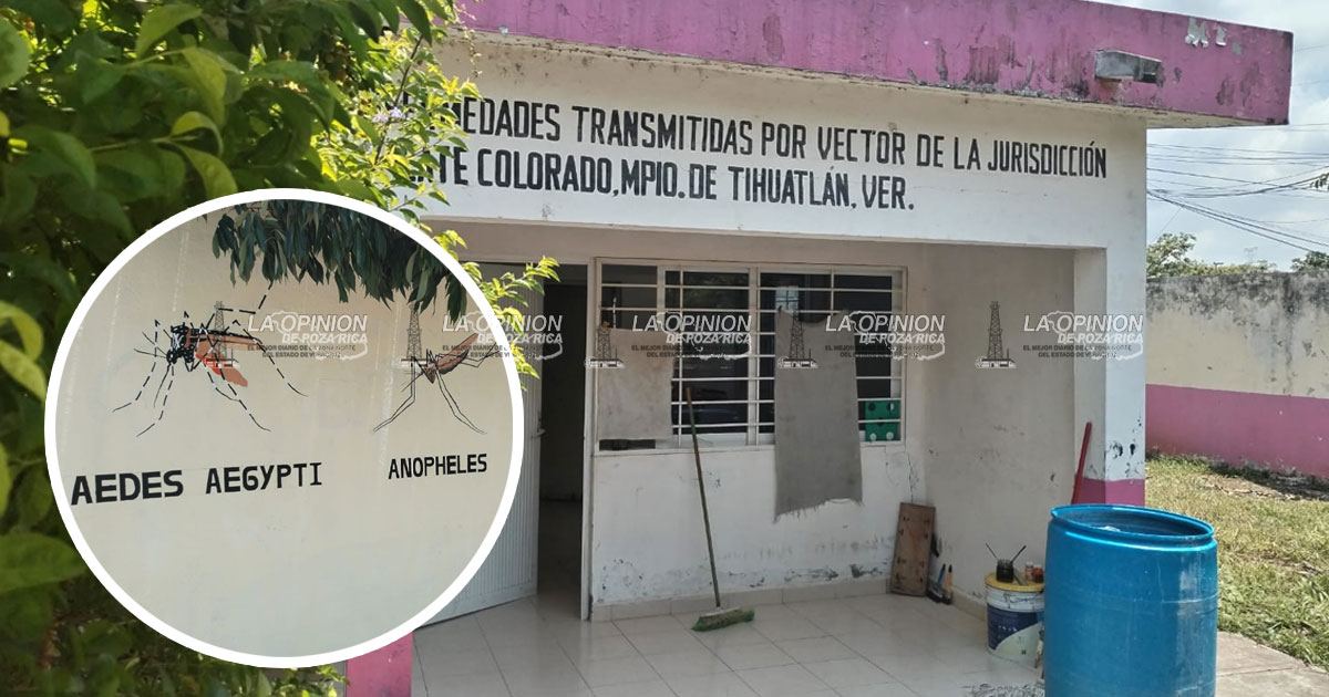 Advierten vecinos de varias colonias la presencia de mosco Advierten vecinos de varias colonias la presencia de mosco