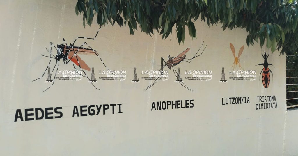 Activarán Ley 588 para reforzar prevención del dengue Activarán Ley 588 para reforzar prevención del dengue