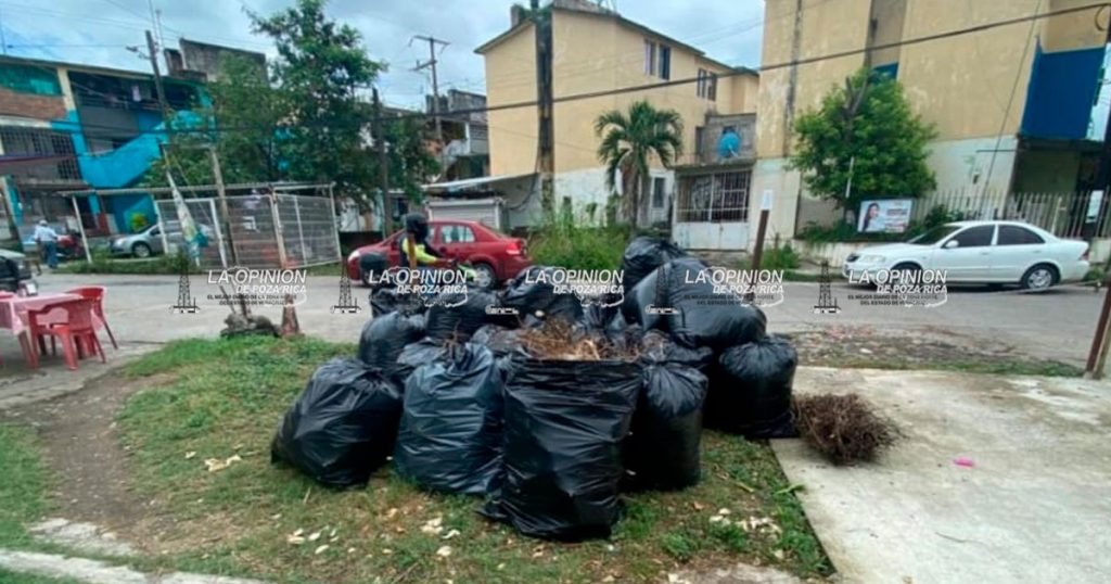 Acumulan ramas de árboles y generan malestar en Las Gaviotas Acumulan ramas de árboles y generan malestar en Las Gaviotas