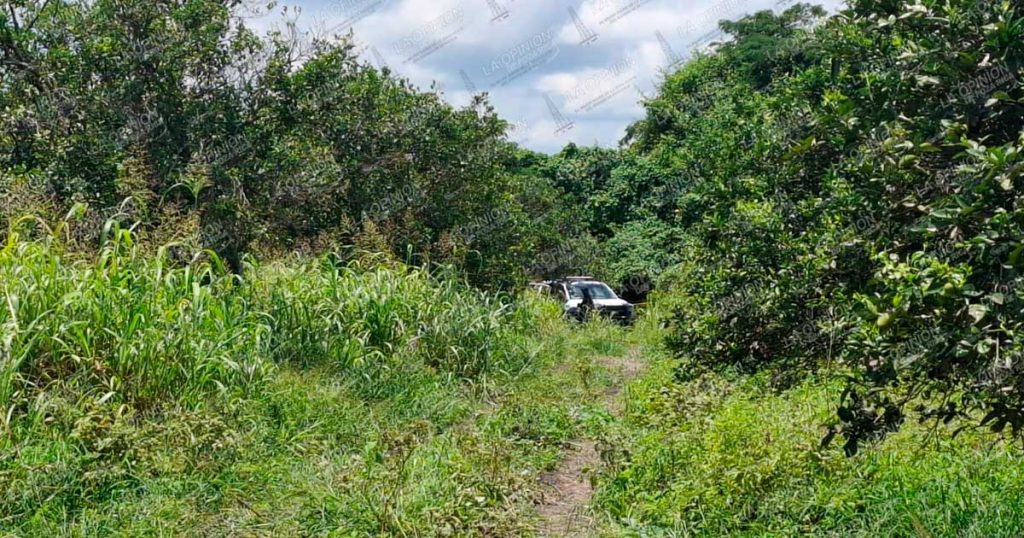 En un naranjal hallan cuerpo semienterrado En un naranjal hallan cuerpo semienterrado
