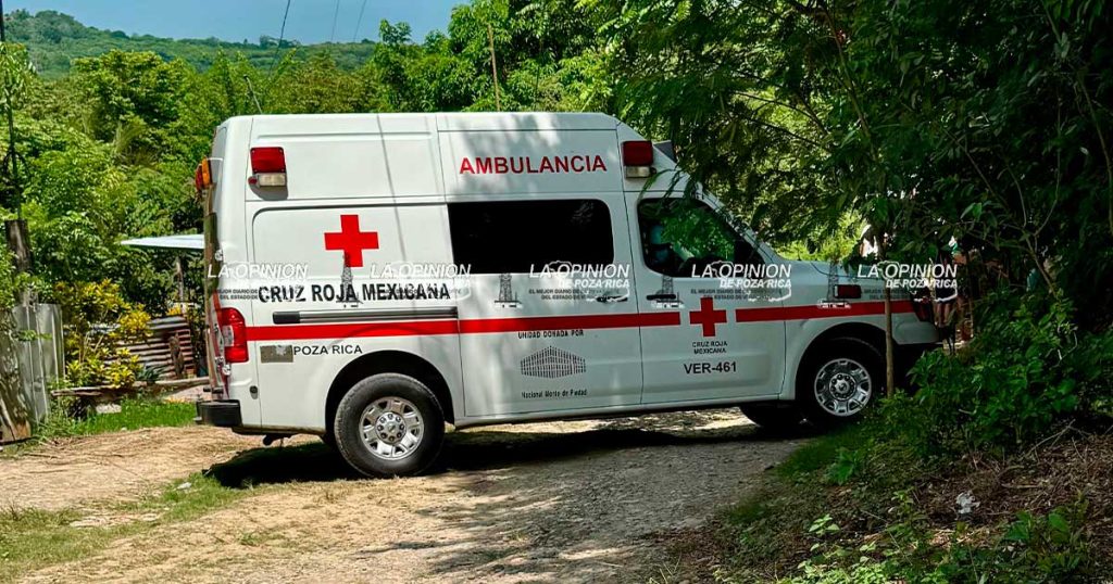 La sorprendió la muerte La sorprendió la muerte