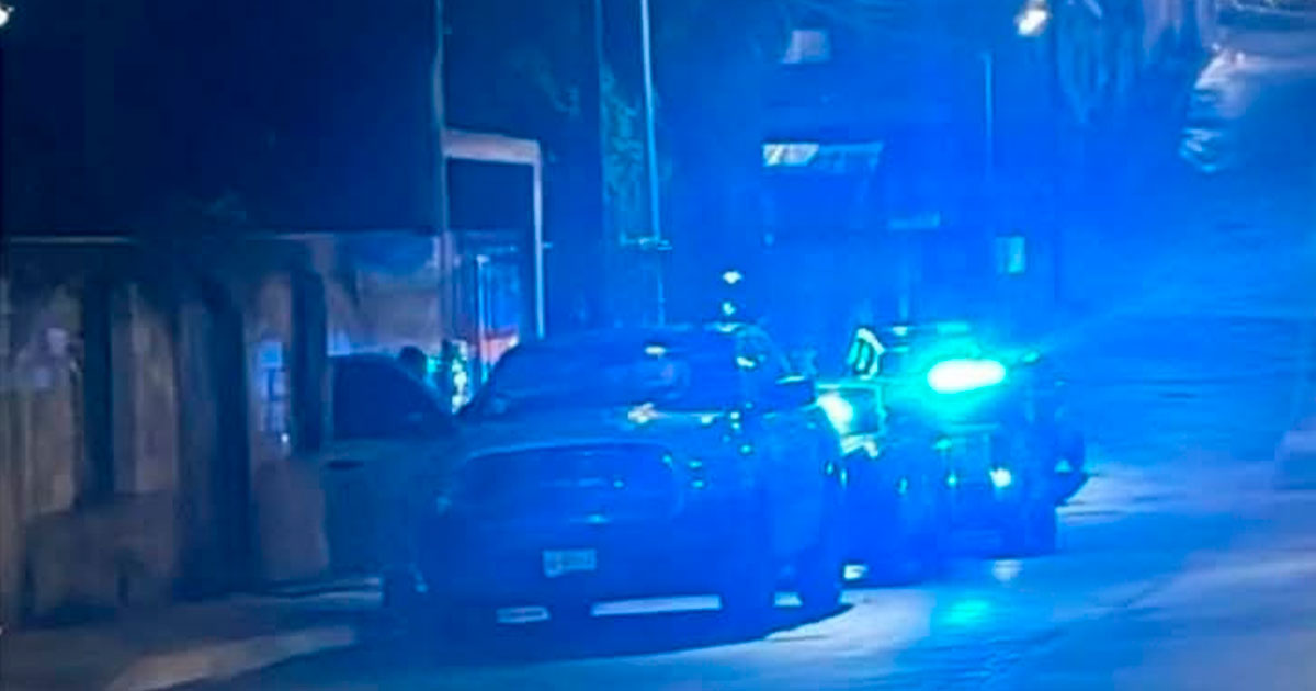 Muere al ser atacada por perros Muere al ser atacada por perros