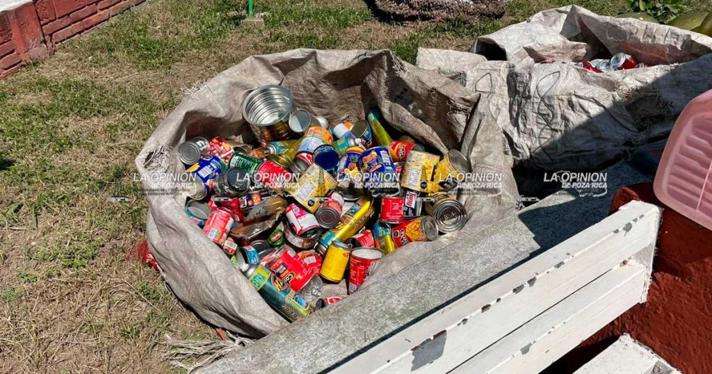 Realizarán Reciclatón con Causa para el bienestar de los animales Realizarán Reciclatón con Causa para el bienestar de los animales