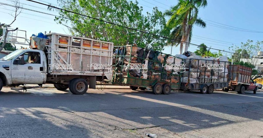 Realizarán Reciclatón con Causa para el bienestar de los animales Realizarán Reciclatón con Causa para el bienestar de los animales