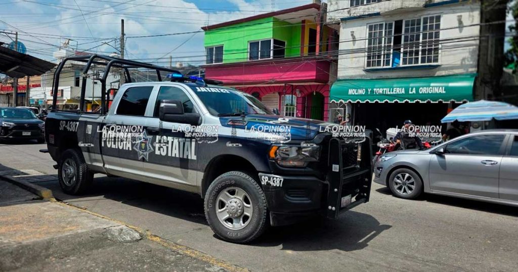 ¡Falso plagiado moviliza a las autoridades! ¡Falso plagiado moviliza a las autoridades!