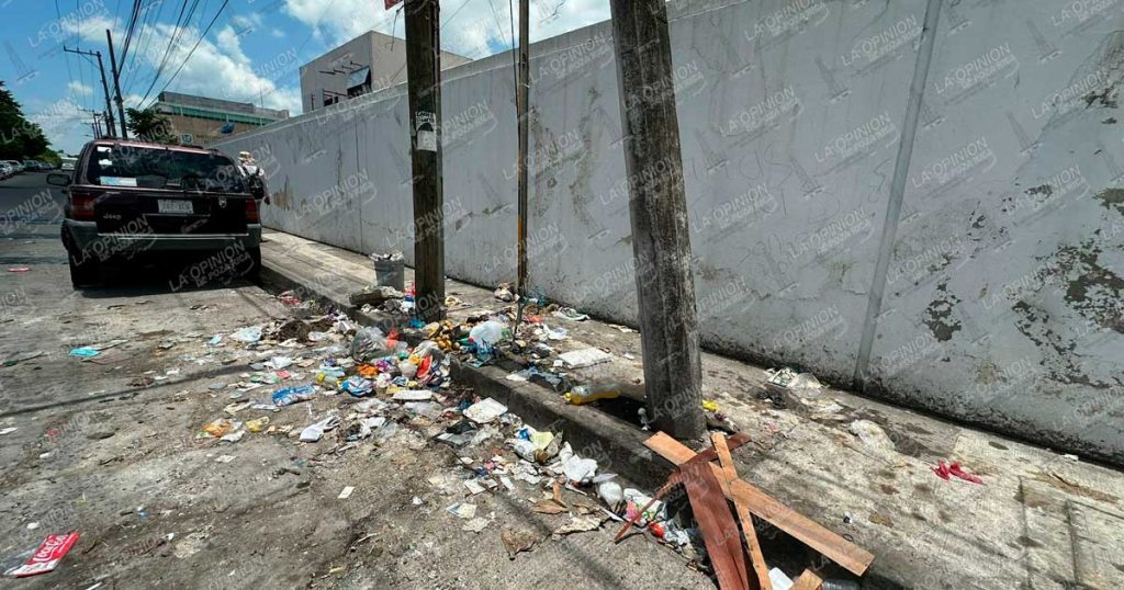 Basurero clandestino a un costado de las instalaciones del IMSS Basurero clandestino a un costado de las instalaciones del IMSS
