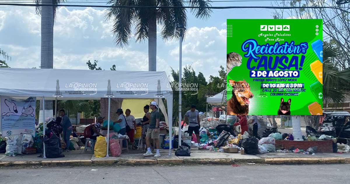 Habrá "Reciclatón con Causa" por los animalitos maltratados Habrá "Reciclatón con Causa" por los animalitos maltratados