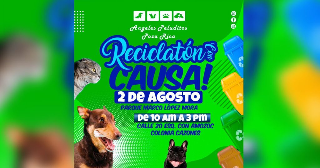 Habrá "Reciclatón con Causa" por los animalitos maltratados Habrá "Reciclatón con Causa" por los animalitos maltratados