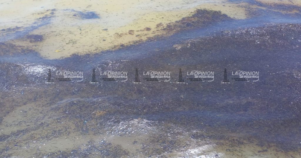 Contaminación con hidrocarburo mata peces en Barra de Cazones