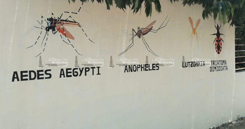 Advierten vecinos de varias colonias la presencia de mosco Advierten vecinos de varias colonias la presencia de mosco