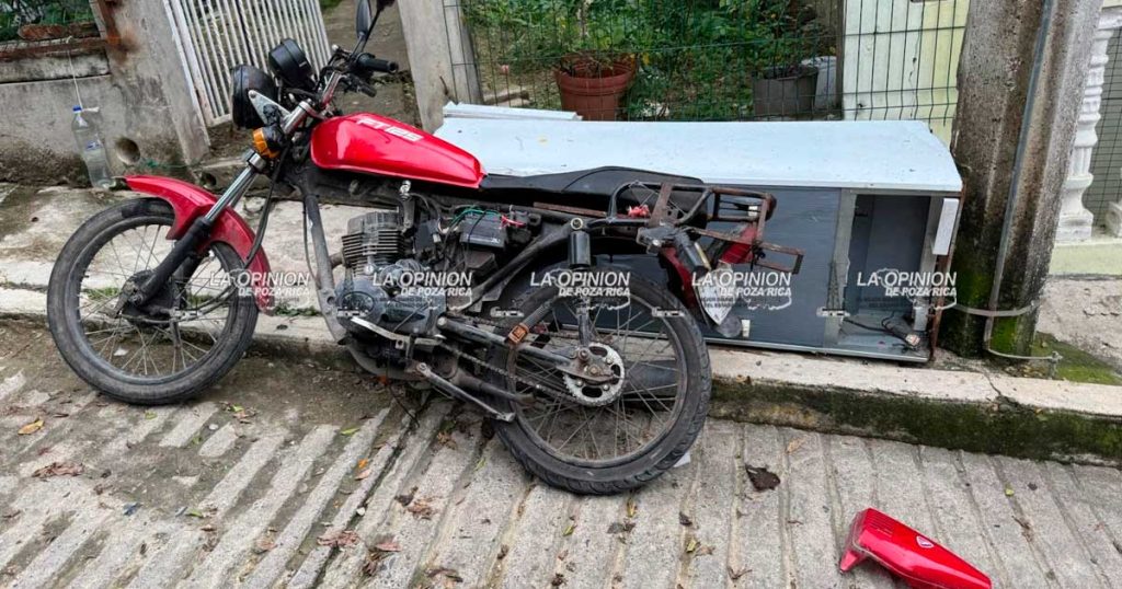 ¡Pollos en picada! ¡Pollos en picada!