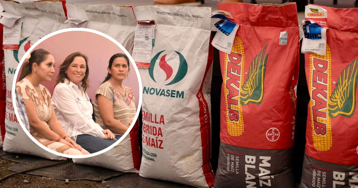 Con maquinaria, semilla y apoyos, Rocío Nahle impulsa a productores de maíz, entregan 593 cheques