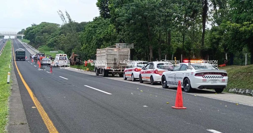 ¡Murió arrollado en la México–Tuxpan! ¡Murió arrollado en la México–Tuxpan!