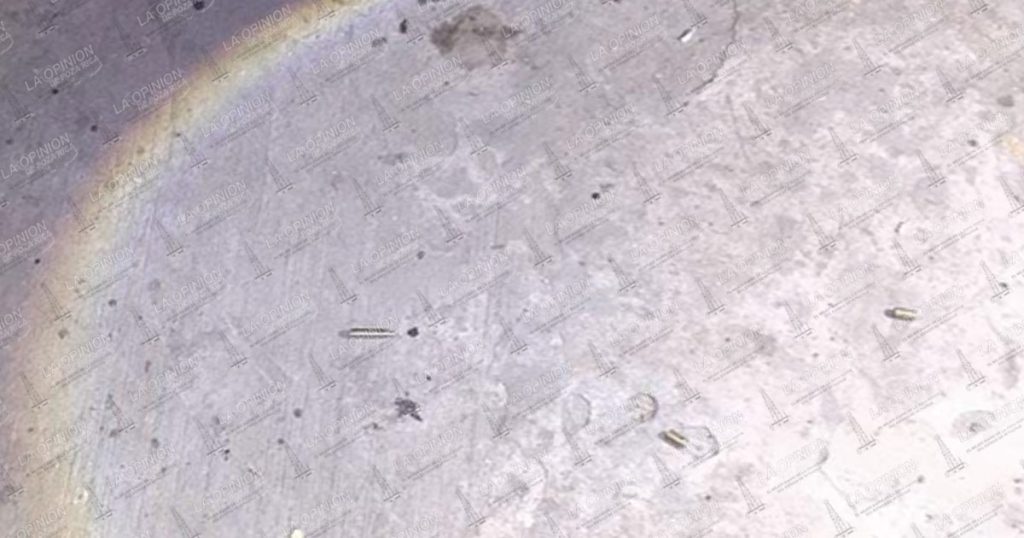 Ejecutan a hombre en pleno centro de Tamiahua Ejecutan a hombre en pleno centro de Tamiahua