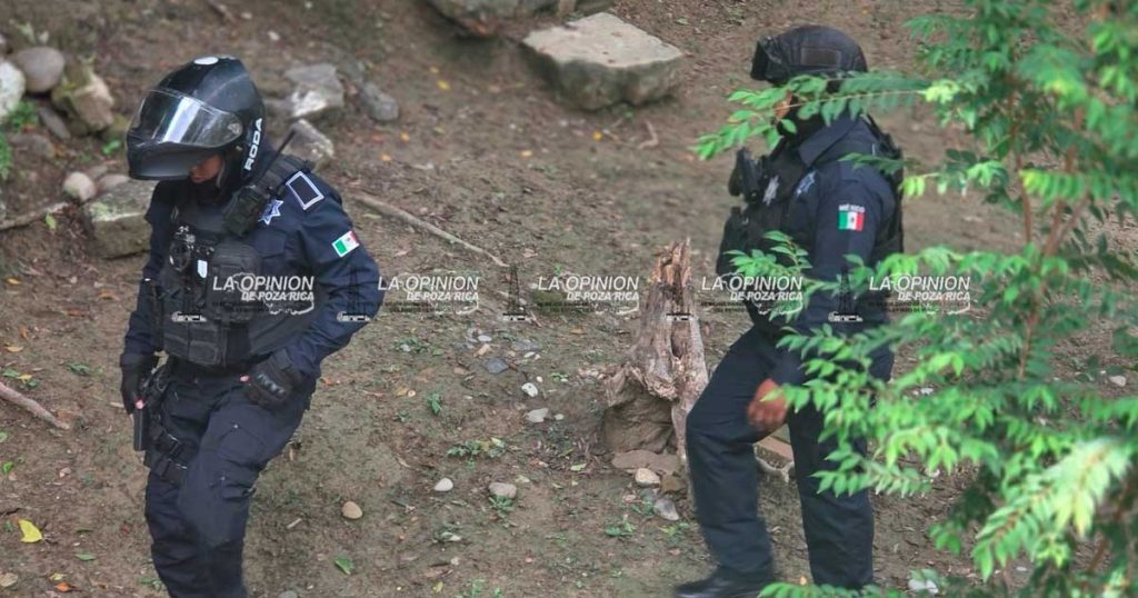 ¡Falso plagiado moviliza a las autoridades! ¡Falso plagiado moviliza a las autoridades!