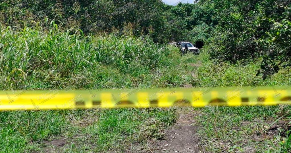 En un naranjal hallan cuerpo semienterrado En un naranjal hallan cuerpo semienterrado