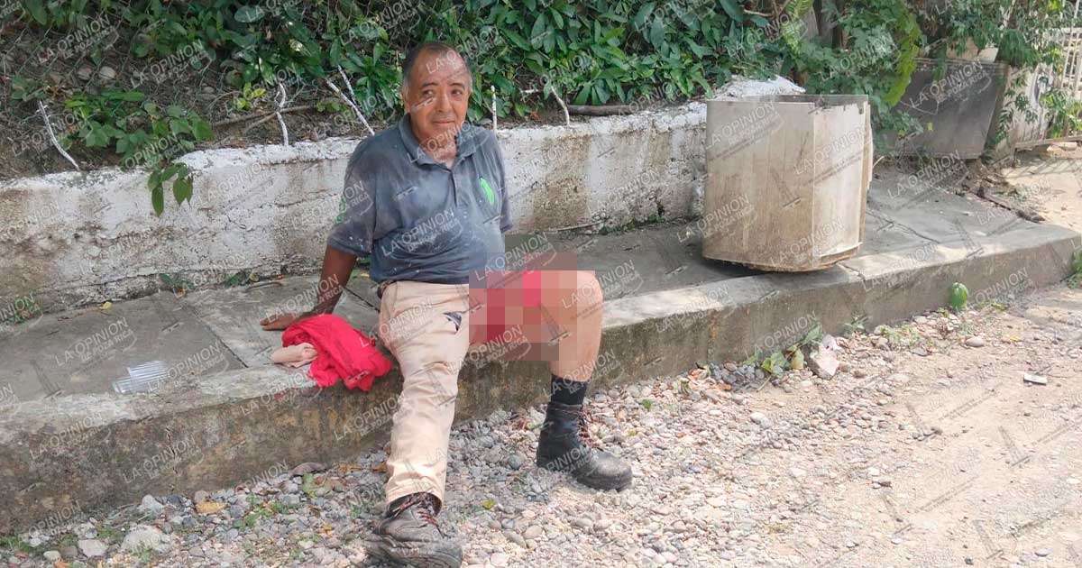 Cayó de un árbol y terminó en el hospital