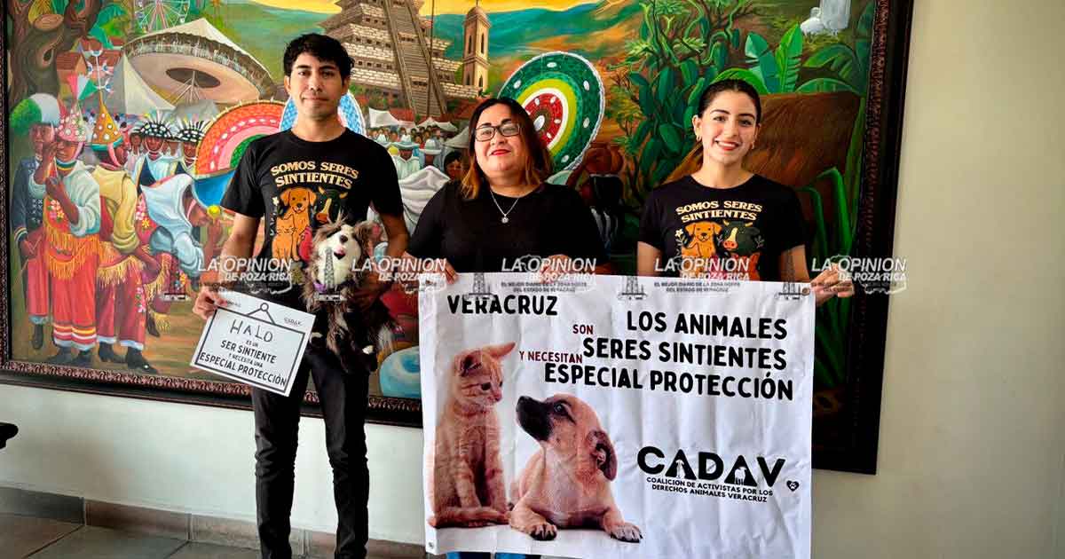 Piden reconocer a los animales como seres sintientes Piden reconocer a los animales como seres sintientes