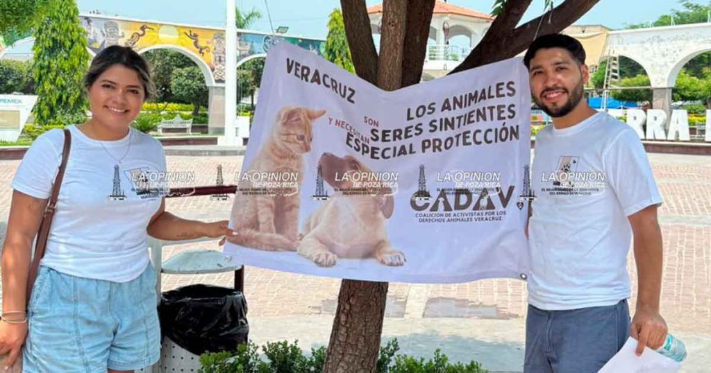 Piden reconocer a los animales como seres sintientes Piden reconocer a los animales como seres sintientes