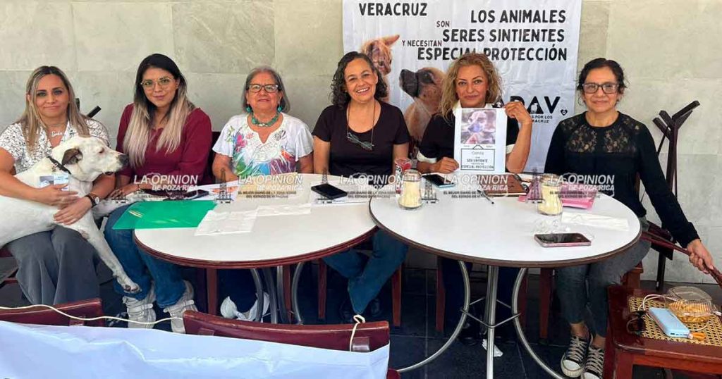 Piden reconocer a los animales como seres sintientes Piden reconocer a los animales como seres sintientes